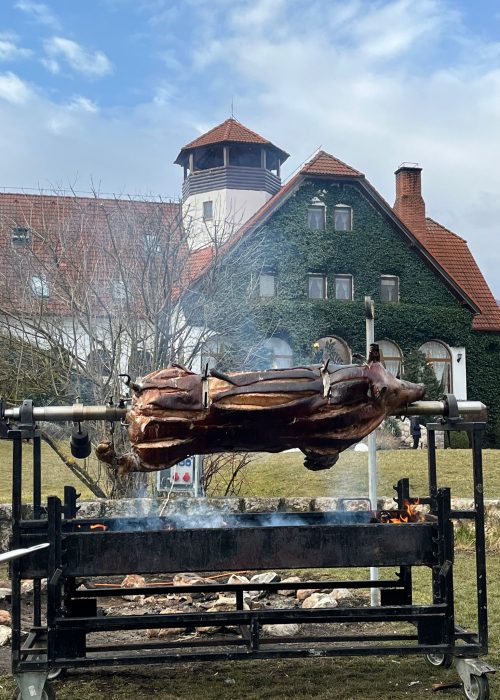 WhatsApp Image 2025-01-26 at 13.15.17_265edbe3