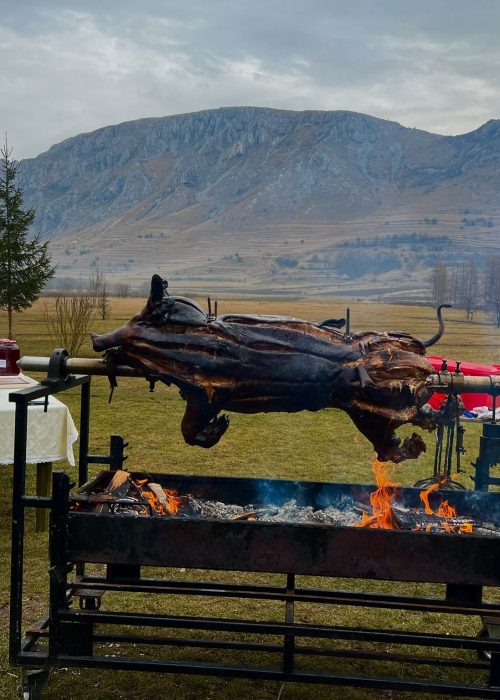 WhatsApp Image 2025-01-26 at 13.15.18_c0d40187