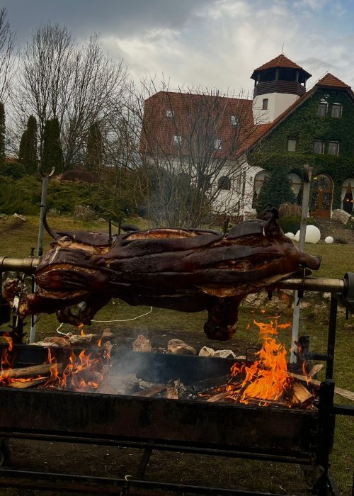 WhatsApp Image 2025-01-26 at 13.15.18_eebd7186